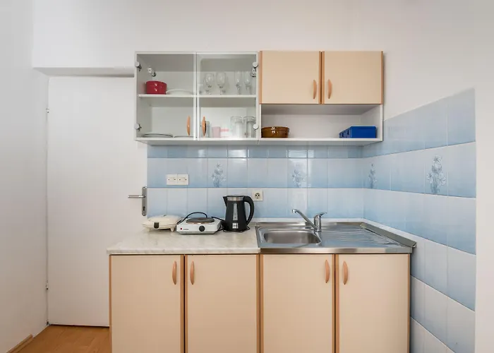 公寓 沃伊尼克别墅公寓