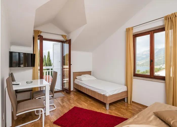 沃伊尼克别墅公寓 *