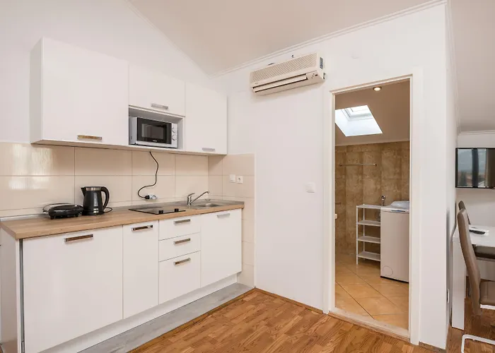 沃伊尼克别墅公寓 公寓 *