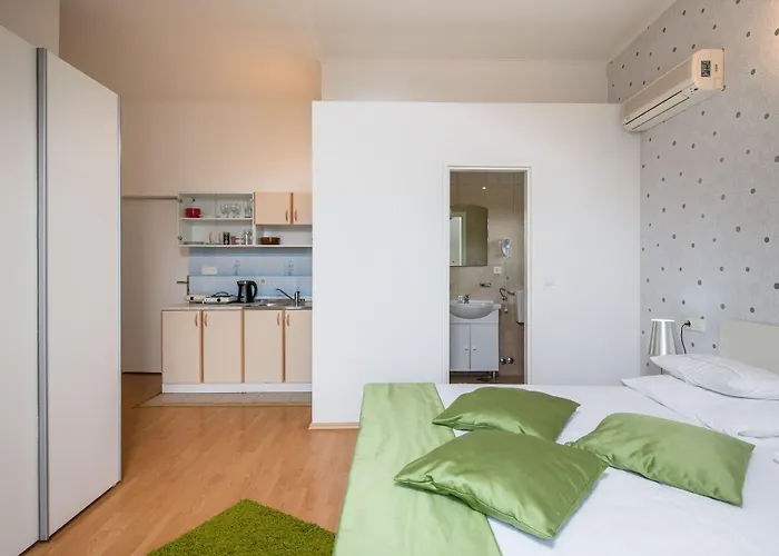 公寓 沃伊尼克别墅公寓