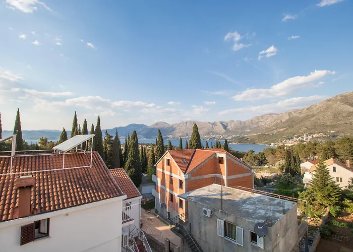 公寓 沃伊尼克别墅公寓