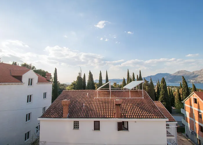 公寓 沃伊尼克别墅公寓 察夫塔特