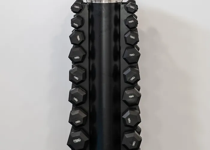 沃伊尼克别墅公寓 公寓 *