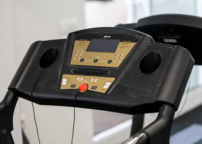 沃伊尼克别墅公寓 公寓 *