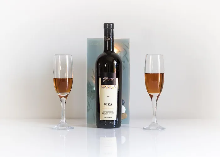 沃伊尼克别墅公寓 公寓 *