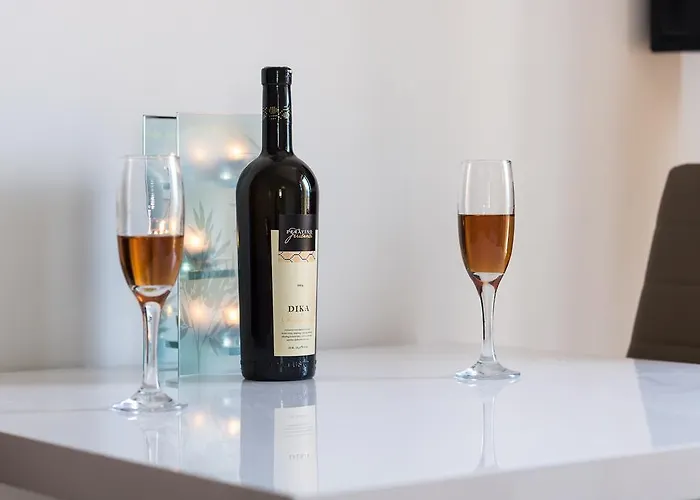 公寓 沃伊尼克别墅公寓 *