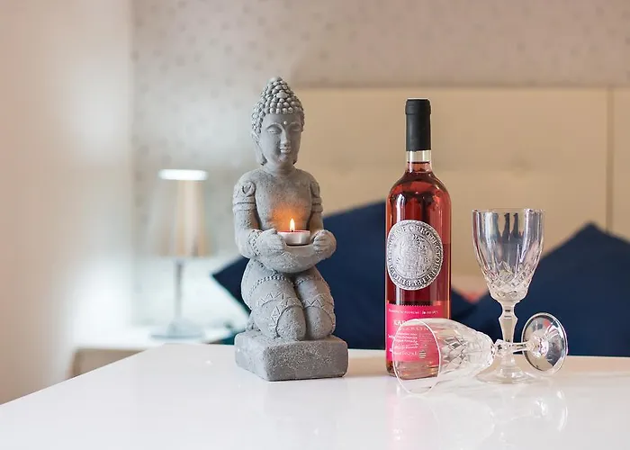 沃伊尼克别墅公寓 察夫塔特