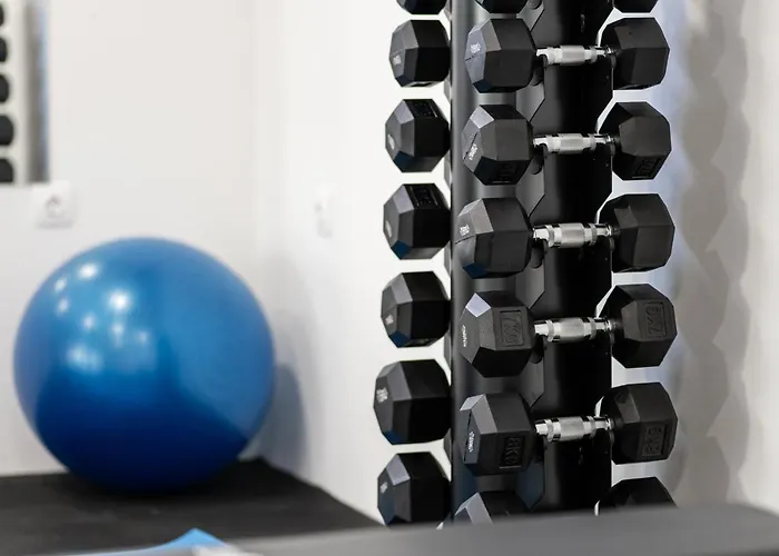 沃伊尼克别墅公寓 公寓 *